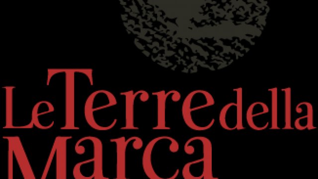 CONSIGLIO UNIONE DEI COMUNI TERRE DELLA MARCA SENONE - 15-05-2026 ORE 17.45